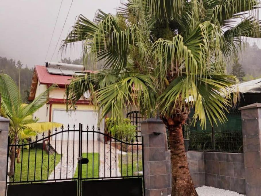Charmante Maison Au Coeur Des 3 Montagnes Salazie Dış mekan fotoğraf